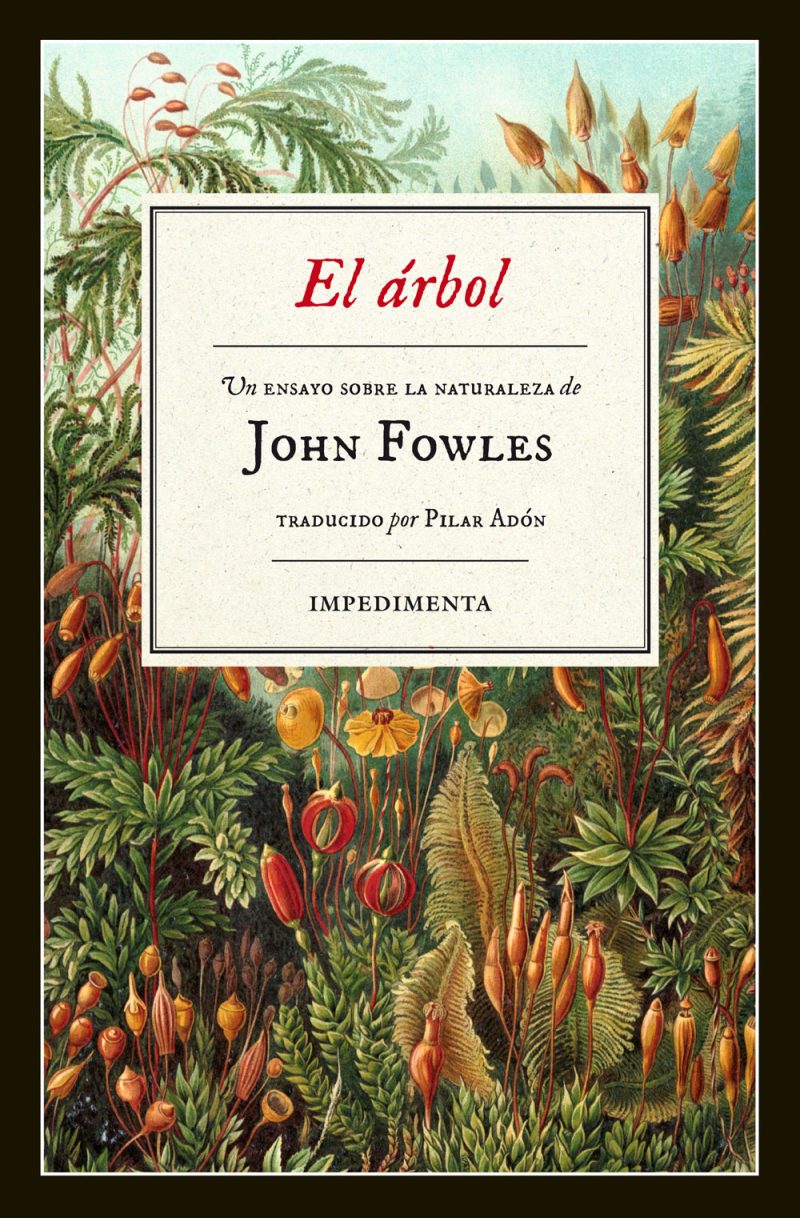 El Árbol